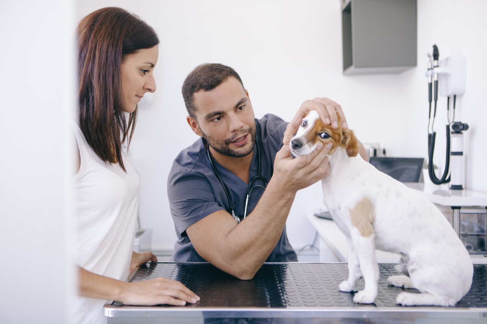 Dental Extractions in Dogs and Cats | Pet Tooth Extractions | Montana