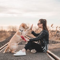 dog giving a woman a high five