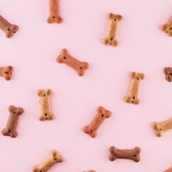 dog treat bones on pink background - dog treat bakeries in missoula